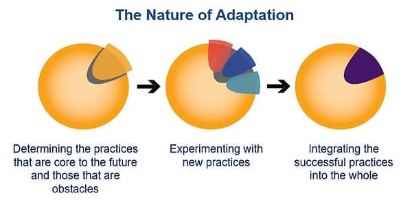 ADAPTIVE LEADERSHIP FRAMEWORK